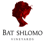 Bat Shlomo Winery
