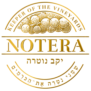 Notra Winery