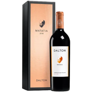 Dalton Matityahu 2019